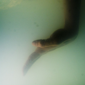 Photo: Maarten Vanden Abeele.