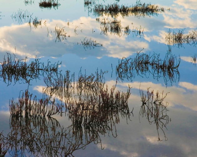 Mallacoota, VIC. &copy; Alan Attwood.