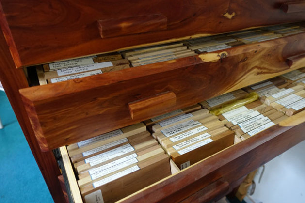 Morris Lake's samples of different species are filed.