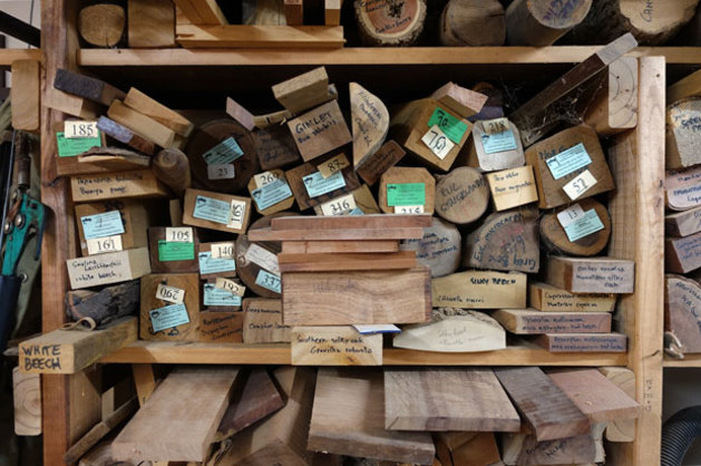 Samples of various species in Morris Lake's workshop