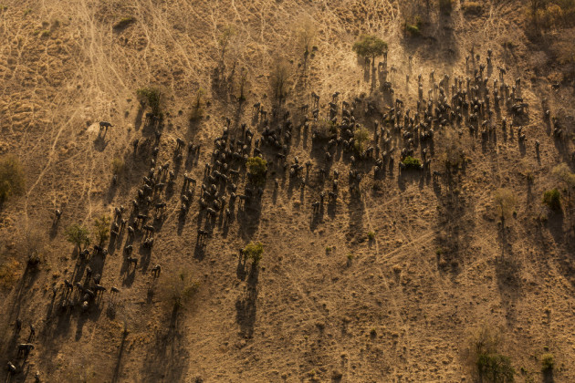 Nature, 2nd prize stories. &copy; Brent Stirton, South Africa, 2015, Getty Images for National Geographic. Zakouma National Park is home to the largest remaining elephant herd in the world.