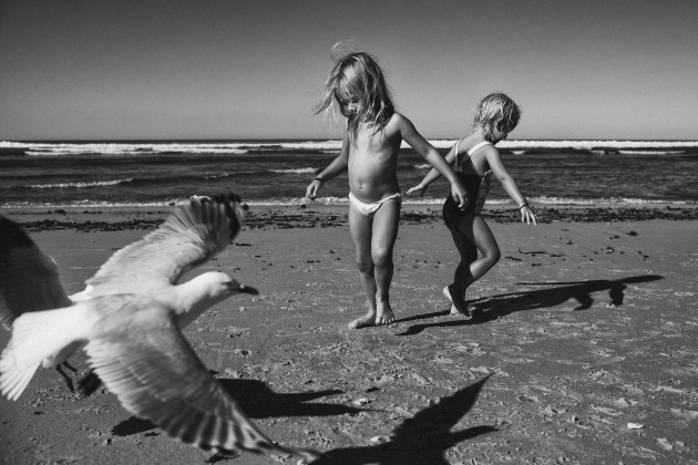 &copy; Natalie Grono. Taking flight. Finalist.