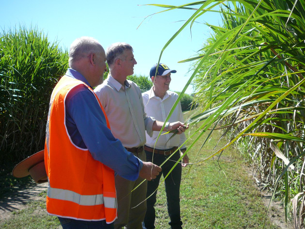 Left to right: Ian Dart, Farms Productivity Manager; Simon Doyle, General Manager Farms; David Pickering, General Manager Operations.
