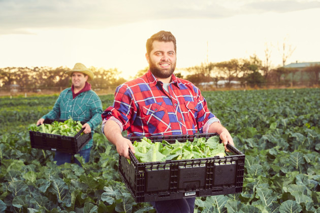 Over the past 12 months, more than four million of Pact's Intellicrates embedded with RFID tags have been supplied to fresh produce growers.