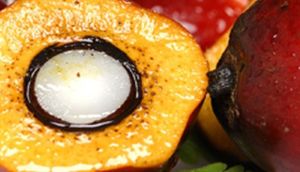 Unilever ANZ described its move to source 100 per cent traceable and certified palm oil by the end of next year as an important milestone.