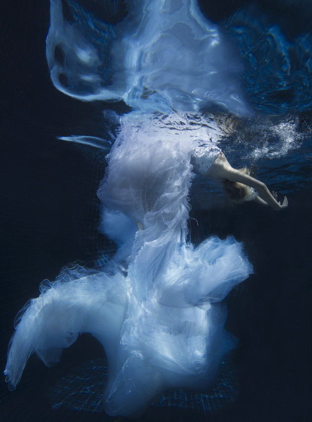 &copy; Lori Cicchini