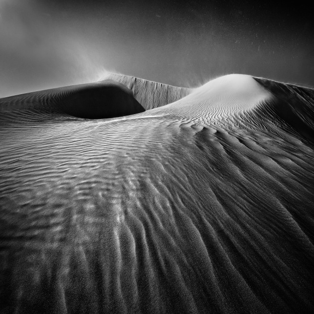 &copy; Jarrad Parker.