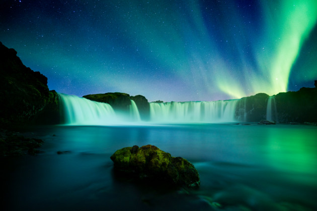&copy; William Patino.