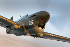 Judy Pay's Tyabb-based P-40F Warhawk. (Rob Fox)