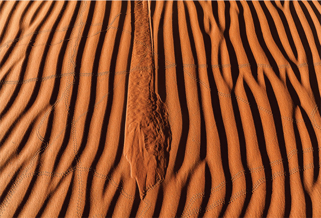 &copy; Peter Carroll