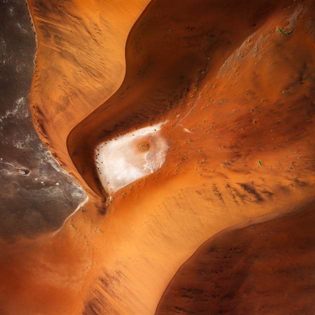 Portrait of a Dune. &copy; Leah Kennedy.