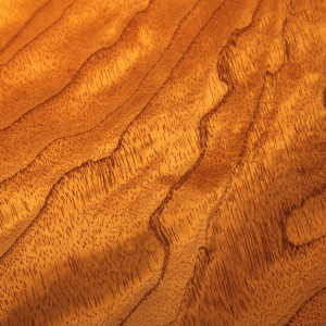 The lustrous and swirling grain of red cedar (Toona ciliata)