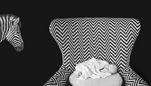 &copy; Naomi Reiter. Featured portfolio, "Family Stories" &ndash; Australasia&rsquo;s Top Emerging Photographers 2018.
