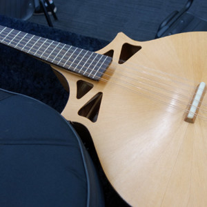 Detail of instrument by Richard Morgan, dobmorg@gmail.com  You can find Richard's instruments at theguitargallery.com.au in Melbourne, or themandolintuner.com in Athens.