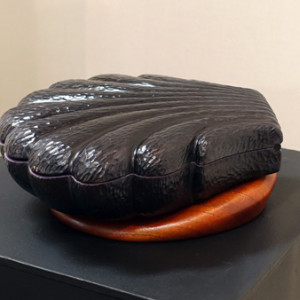 Richard Vaughan, Seeda Pearl Box closed