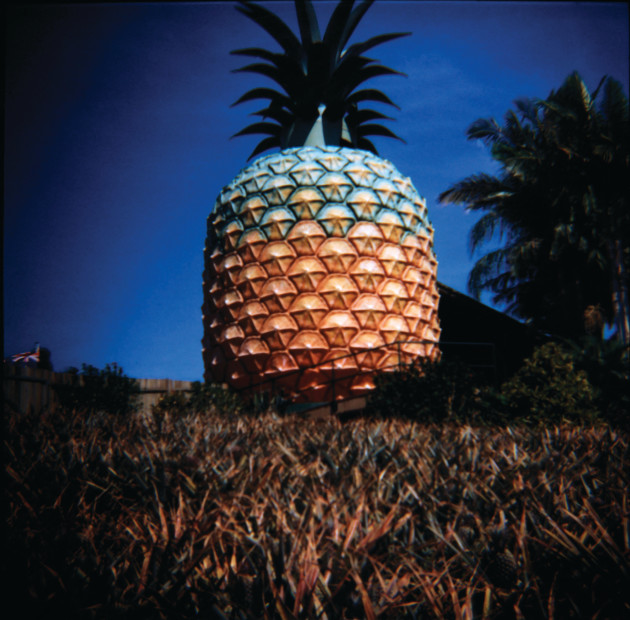 &copy; David Marks. Detail, Big Pineapple, Nambour, QLD, 2002.