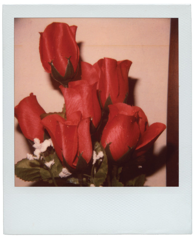 &copy; David Marks. Fake Roses, Northcote, VIC, 2005.