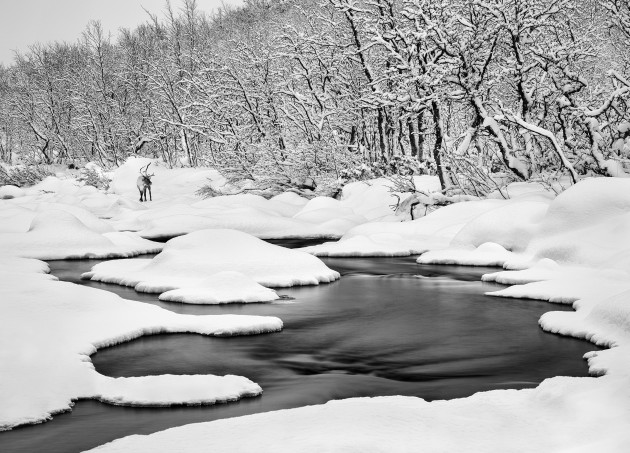 Image by David Evans APP M.Photog I.