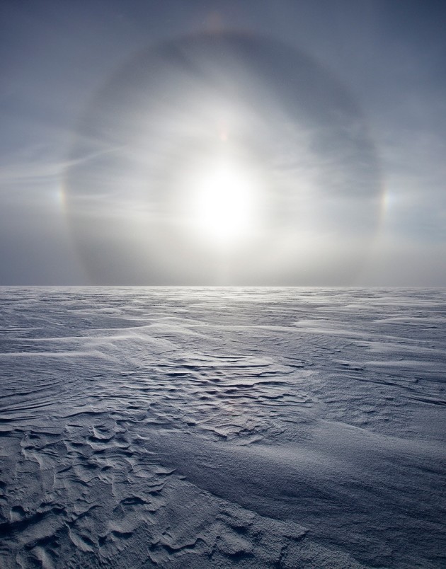 Arctica: The Vanishing North by Sebastian Copeland