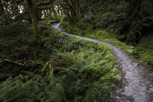 &copy; Ben Sanford. Featured portfolio, "Amazing Aotearoa" &ndash; Australasia&rsquo;s Top Emerging Photographers 2018.