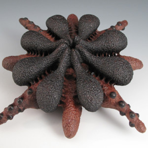 Untitled, black walnut, 2013, 55 x 180 x 130mm