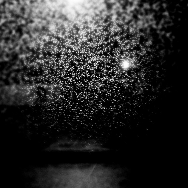 Starfield. Sydney, Australia.