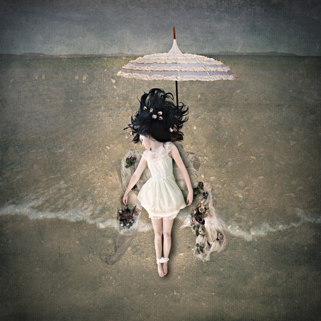 &copy; Suellen Saidee Cook