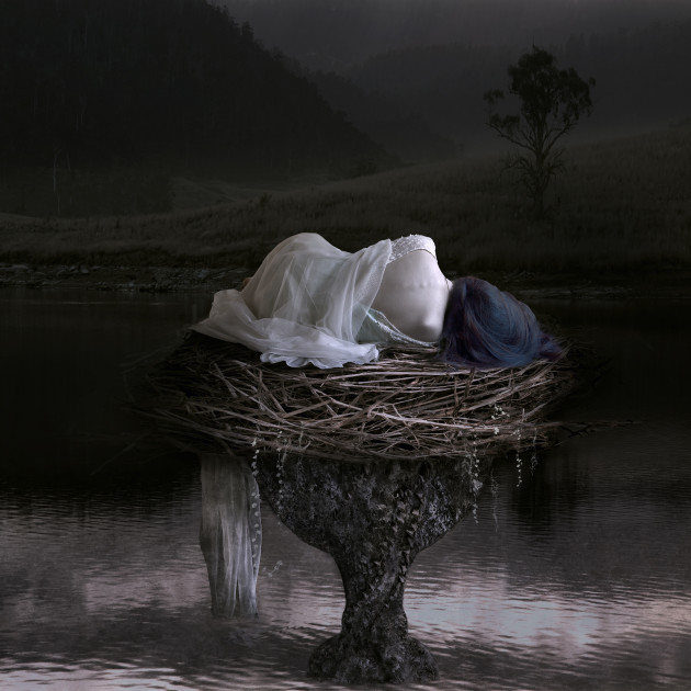 &copy; Suellen Saidee Cook
