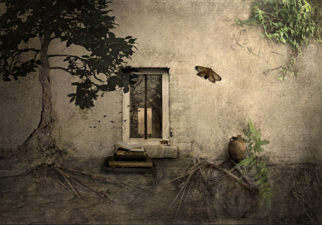 &copy; Suellen Saidee Cook