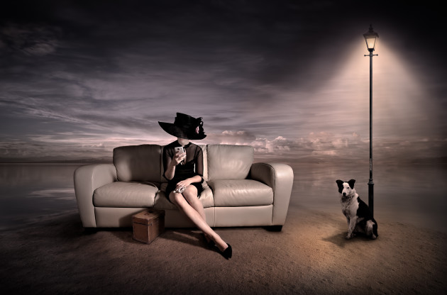&copy; Suellen Saidee Cook
