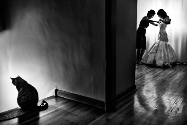 &copy; Two Mann Studios.
