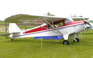 Some older GA aeroplanes such as Taylorcrafts could be registered with RAAus if the recreational weight limit is lifted to 750 kg. (A. Hunt)