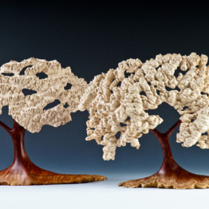 Terry Martin, Pair of Trees, 2015. Photo: Terry Martin.