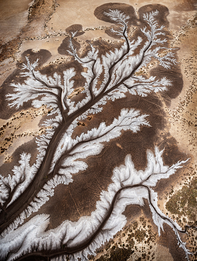 Tides and Time. &copy; Mieke Boynton.