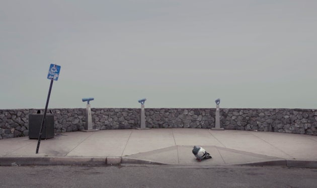 Fat pigeon. Personal work. &copy; Troy Goodall.