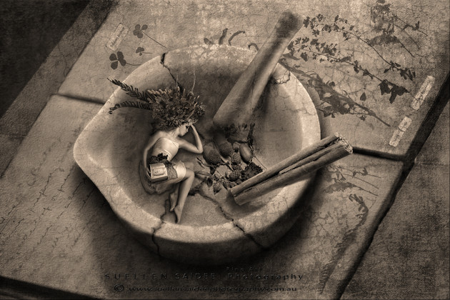 &copy; Suellen Saidee Cook