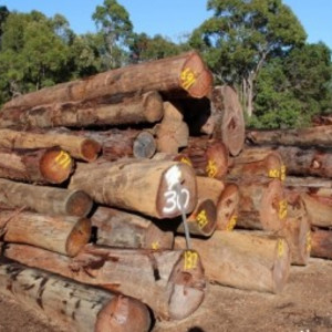 Over 300 tonnes of jarrah burl, plus slabs and packs of timber are up for auction in Harvey, WA.