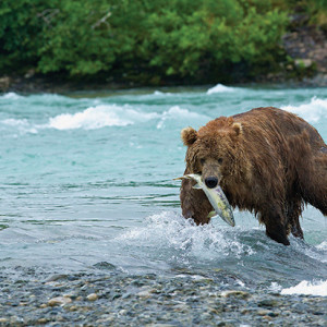 Top nature photographer and intrepid traveller Will Burrard-Lucas has published a new book which contains some amazing images.
