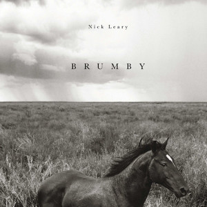 The hard-cover coffee table book 'Brumby' features images of the wild horses of inland Australia, shot by commercial photographer Nick Leary.