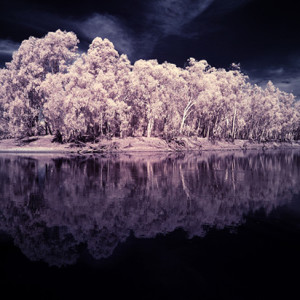 Images by Wayne Quilliam will be exhibited at Canberra's CSIRO Discovery Centre on Black Mountain in Canberra during July.