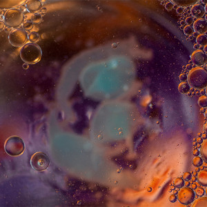 This series of abstract images were created in response to a local camera club's assignment to photograph textures. Image by Margaret Stanton.