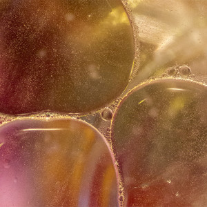 This series of abstract images was created in response to a local camera club's assignment to photograph textures. Image by Margaret Stanton.