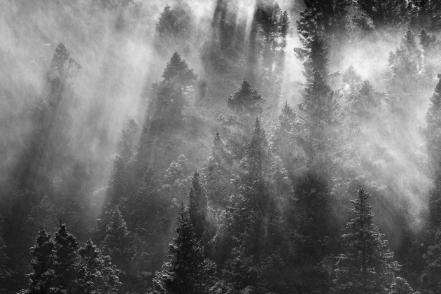 &copy; Richard I'Anson.