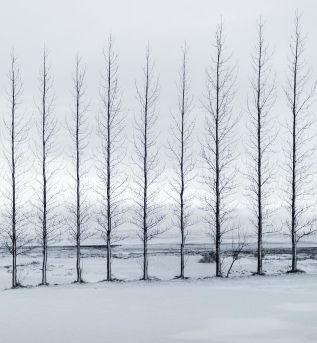 &copy; Hilary Wardhaugh