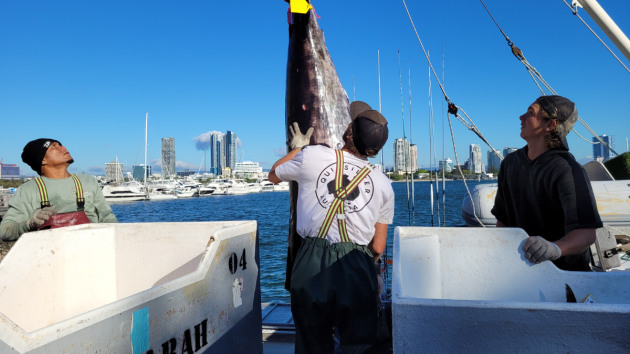 Seafood Industry Australia says its whole-of-industry Export Market Strategic Plan is a first for the sector, capitalising on cohesion forged during Covid. (Image source: Seafood Industry Australia)