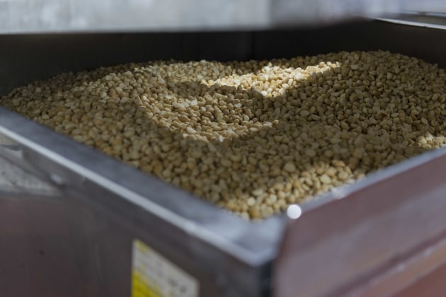The consolidation, rebrand and relaunch of Marquis Macadamias will see the company process and sell 48 per cent of Australia&rsquo;s macadamia production and be responsible for 22 per cent of global kernel sales.