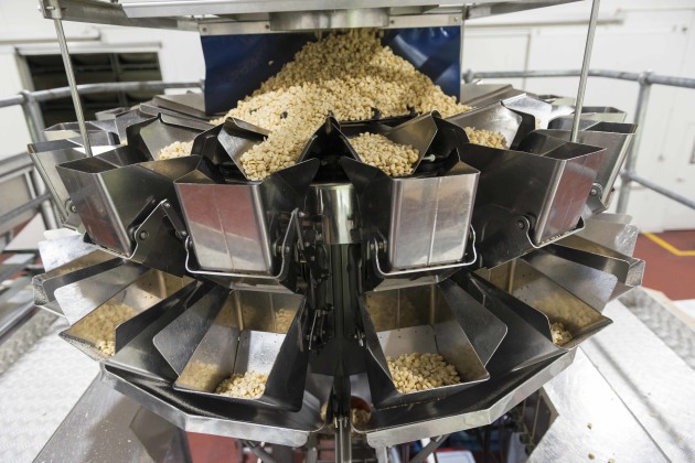 The sorting process at Marquis Macadamias is thorough, with hand searching one part of the system.