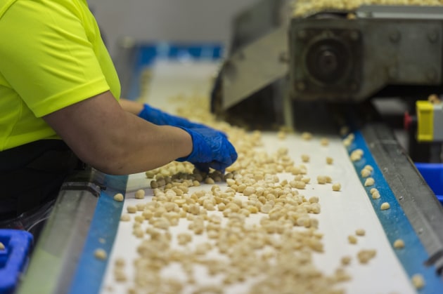 Marquis Macadamias has an internal engineering team that designs its equipment, which is then made by local companies.