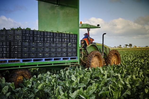 Pact's reusable and recyclable plastic crates and folding produce bins are used by retailers in ANZ in their fresh produce supply chains.