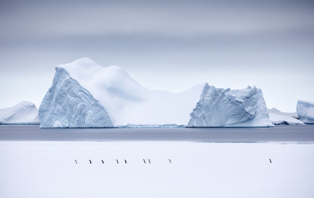 &copy; Josh Holko